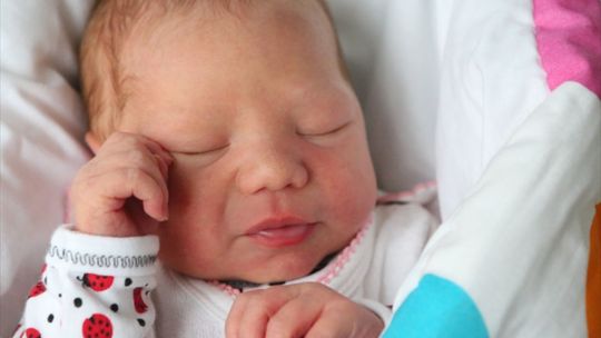 Zdjęcia dzieci z 26 listopada