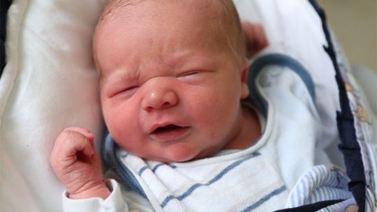 Zdjęcia dzieci z 26 listopada Zdjęcia dzieci z 26 listopada