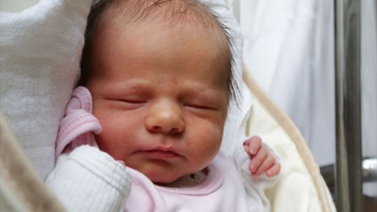 Zdjęcia dzieci z 26 listopada