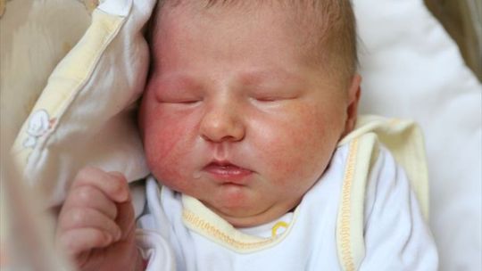 Zdjęcia dzieci z 26 października