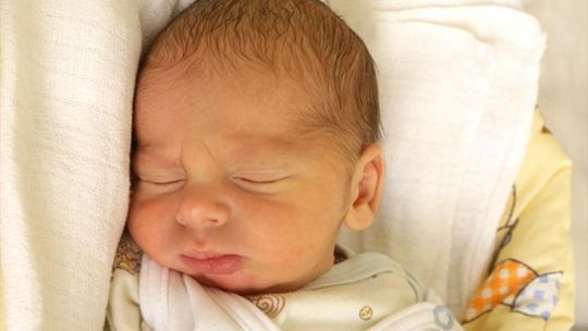 Zdjęcia dzieci z 28 grudnia