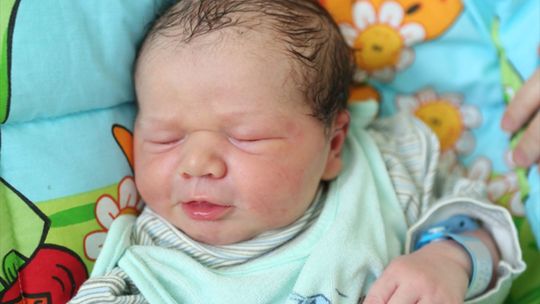 Zdjęcia dzieci z 28 kwietnia