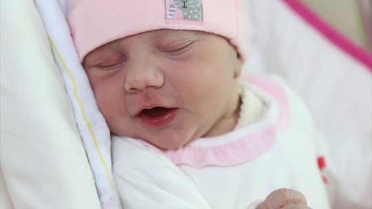 Zdjęcia dzieci z 28 listopada