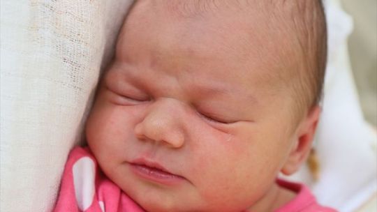 Zdjęcia dzieci z 28 października