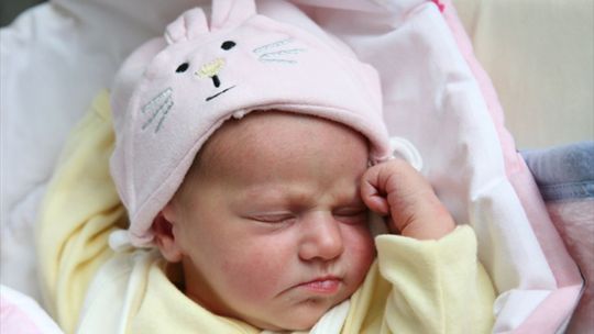 Zdjęcia dzieci z 28 września