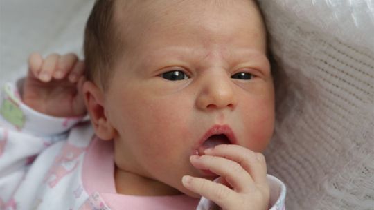 Zdjęcia dzieci z 29 marca