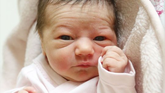 Zdjęcia dzieci z 31 marca Zdjęcia dzieci z 31 marca