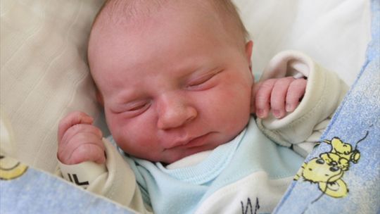 Zdjęcia dzieci z 31 października