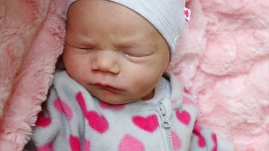 Zdjęcia dzieci z 7 kwietnia