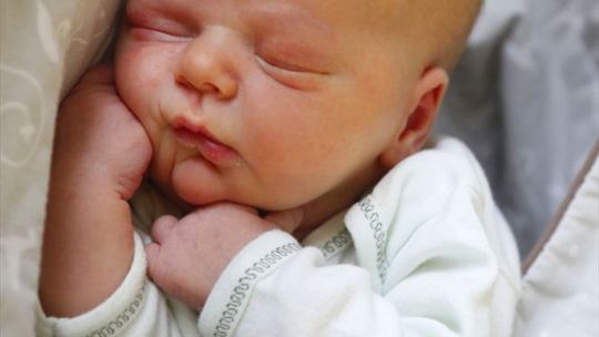 Zdjęcia dzieci z 7 listopada