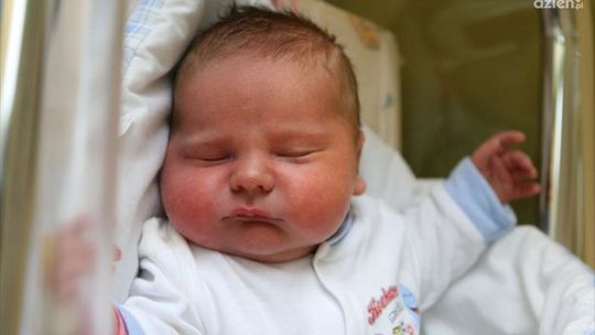 Zdjęcia dzieci z 7 listopada