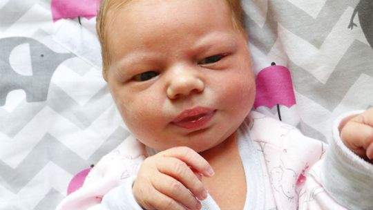 Zdjęcia dzieci z 7 sierpnia