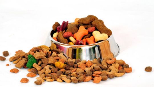 Zebraliśmy 3 tony karmy dla zwierząt! Zebraliśmy 3 tony karmy dla zwierząt!