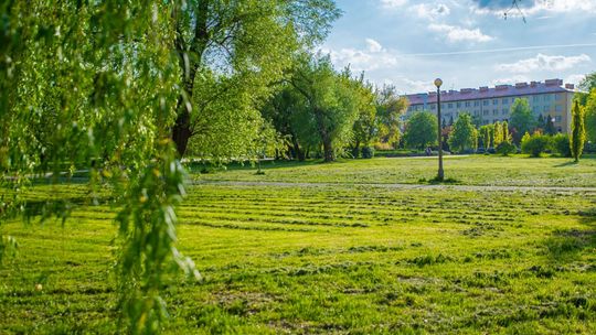 Zielone potrzeby Radomia