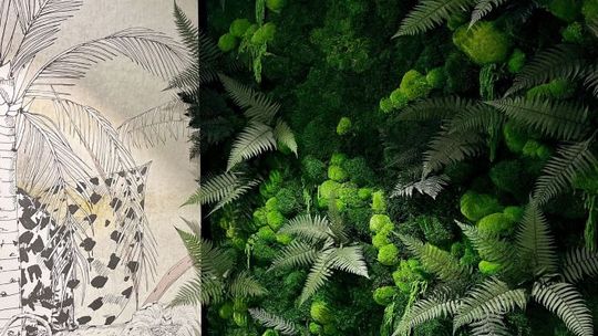 Zielone ściany przyszłości – jak rośliny podbijają pionowe przestrzenie?