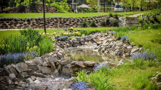 „Ziemia na bosaka”