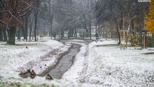 Zima w Radomiu - zobaczcie zdjęcia pierwszego śniegu Zima w Radomiu - zobaczcie zdjęcia pierwszego śniegu