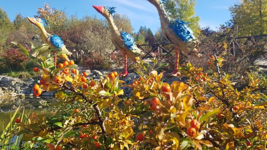 Złota jesień w Magicznych Ogrodach