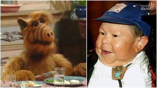 Zmarł kosmita Alf - Mihaly Meszaros