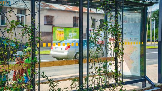 Zmiana przystankowa przy ul. Okulickiego