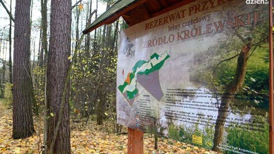 Zmiany w Królewskich Źródłach