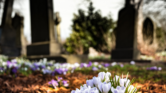 Znaczenie mowy pogrzebowej