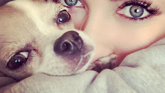 ZNANE CELEBRYTKI O SEKSIE