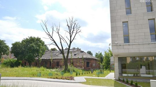 Zniknie rudera obok nowego Archiwum Państwowego?