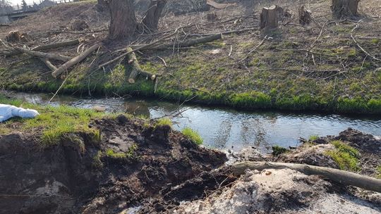 Zniszczona bobrza tama