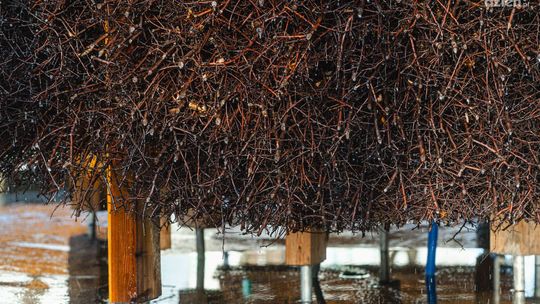 Znów posiedzimy przy tężni solankowej