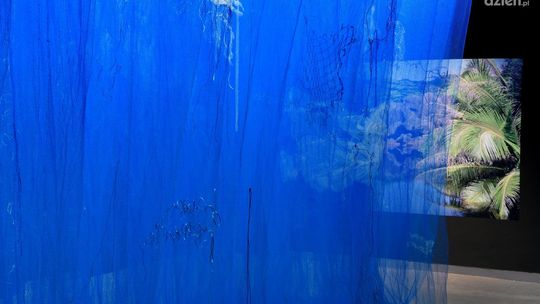 Zobacz prace Barbary Łuczkowiak w "Elektrowni"