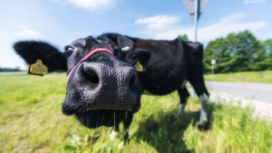 Zobaczcie najciekawsze zdjęcia czerwca!