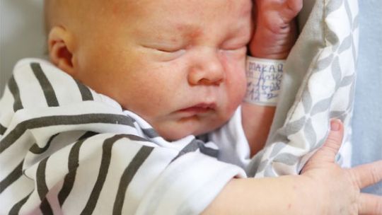 Zobaczcie najmłodszych radomian