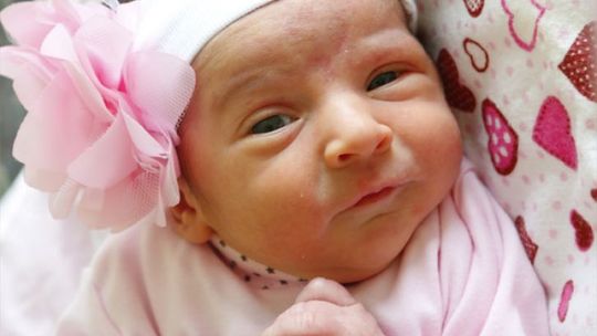 Zobaczcie zdjęcia najmłodszych radomian!