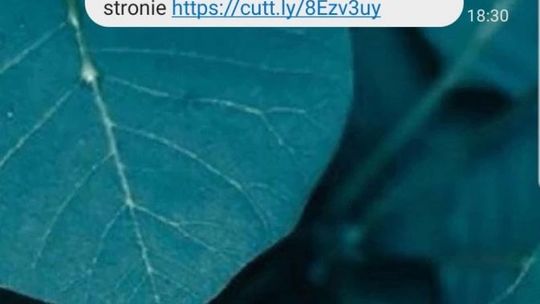 Zostałeś skierowany na kwarantannę? To oszustwo! 