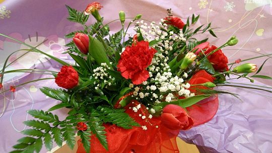 Zostań mistrzem florystyki!