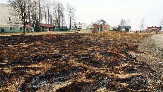 Zrobiło się cieplej. Zaczęły się pożary traw