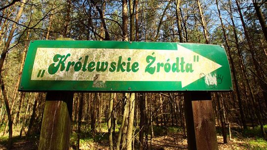 Źródła królewskie - idź w ślady Jagiełły