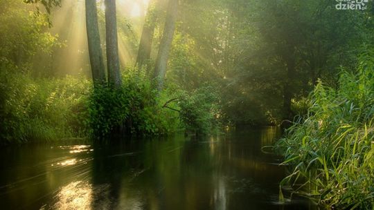 Źródła Królewskie remontowane