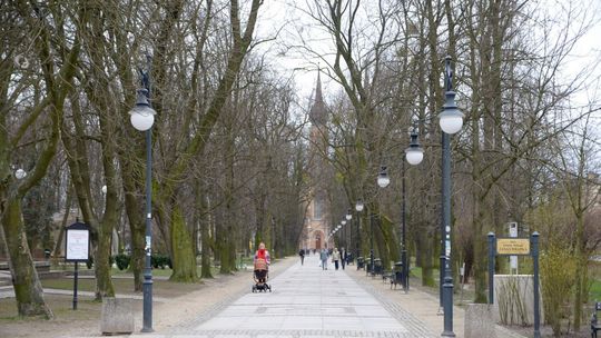 Zrzucają ptasie gniazda. Zmnijeszy to smród?