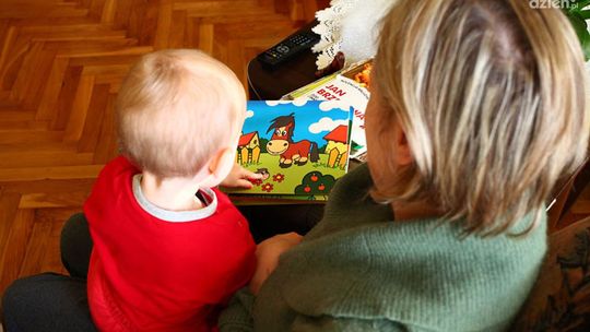 ZUS: 1421 wniosków o świadczenia z programu Aktywny Rodzic w Radomiu