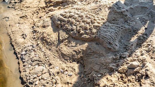 ZUS. Wciąż można wykorzystać bon turystyczny