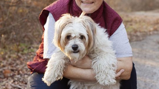 Zwierzę bez domu, jak możemy pomóc?