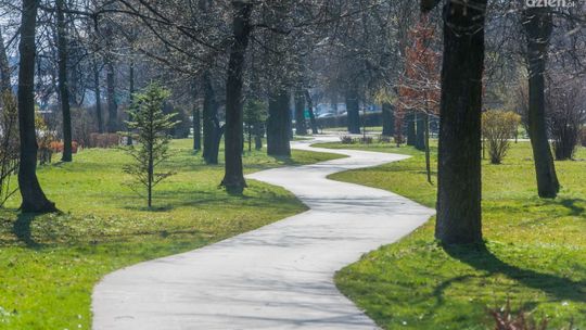 Zwłoki w parku. Denat był pod wpływem alkoholu 
