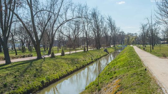 Zwłoki w Starym Ogrodzie. Są wyniki sekcji 