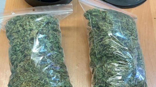 Zwoleń. Posiadał 350 gramów marihuany 