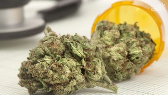 Zwoleń. Zatrzymania za narkotyki