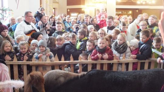 Żywa szopka w Radomiu (Zdjęcia)