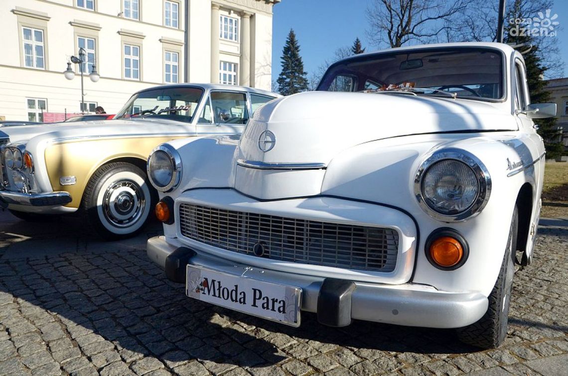 10 najchętniej oglądanych galerii w 2016 roku 10 najchętniej oglądanych galerii w 2016 roku