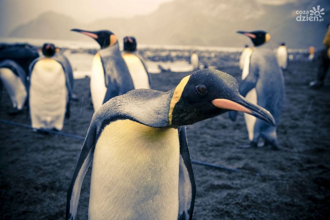 10 sposobów na... udany podryw.